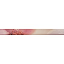 Latina ceramica Irina Listelo Rosa 2